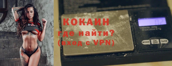 прущие грибы Волоколамск