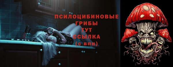 прущие грибы Волоколамск