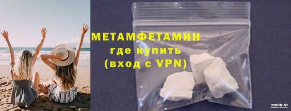 прущие грибы Волоколамск