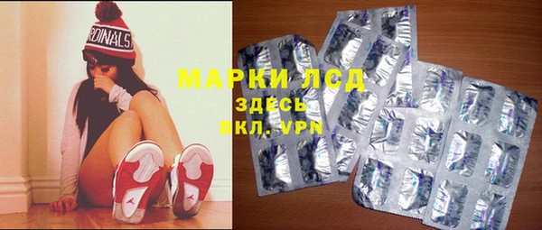 прущие грибы Волоколамск