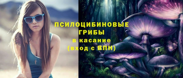 прущие грибы Волоколамск